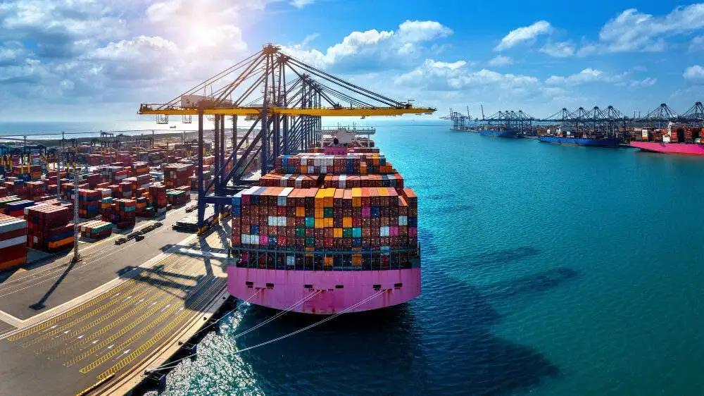 Freight Forwarding Company in Dubai_Sea Drive