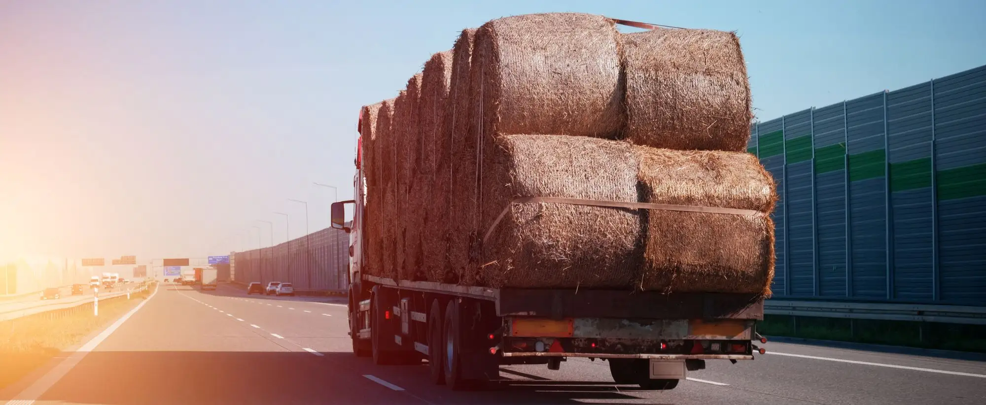 Why Shipping-Alfalfa Hay & Grass Shipping